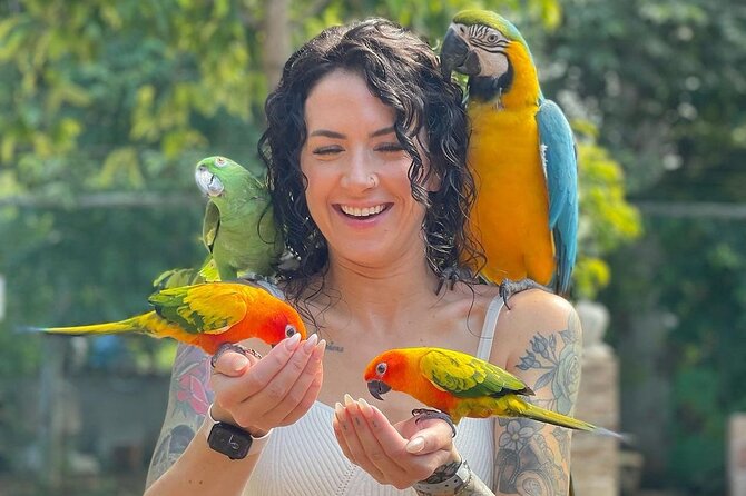Bird Sanctuary and animal farm Day Tour - The farm component: petting and playful animal time