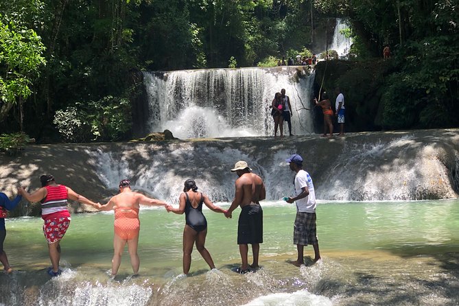 Black River Safari and YS Falls - Black River Safari in Negril, where crocs share the river