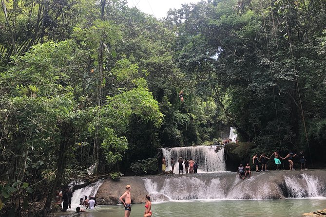 Black River Safari and YS Falls - Timing, transportation, and how to make the day feel easy