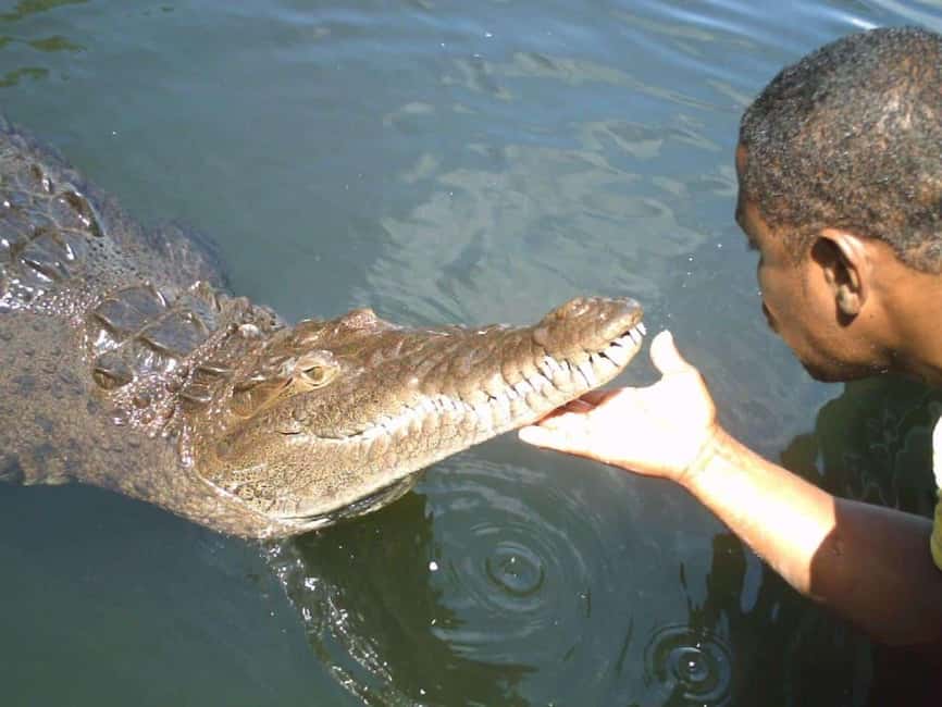 Black River Safari and Ys Falls Tour and Transportation - South Coast pacing: why the 7 to 8 hour window works