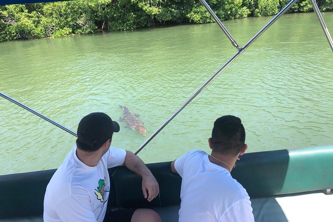 Black River Safari and YS Falls - Stop 1, Black River, the safari ride that feels like a nature lesson