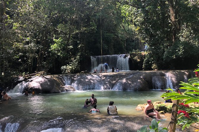 Black River Safari, YS Falls and Appleton Estate - Key highlights to look for