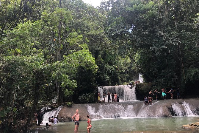 Black River Safari, YS Falls and Appleton Estate - Appleton Estate Rum Experience: sugar cane to tasting