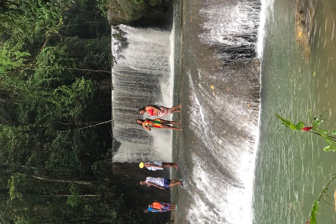 Black River Safari, YS Falls and Appleton Estate - What makes the combo work (and who should book it)