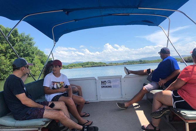 Black River Safari, YS Falls and Floyd's Pelican Bar - Black River Safari: how to get the most from wildlife viewing time