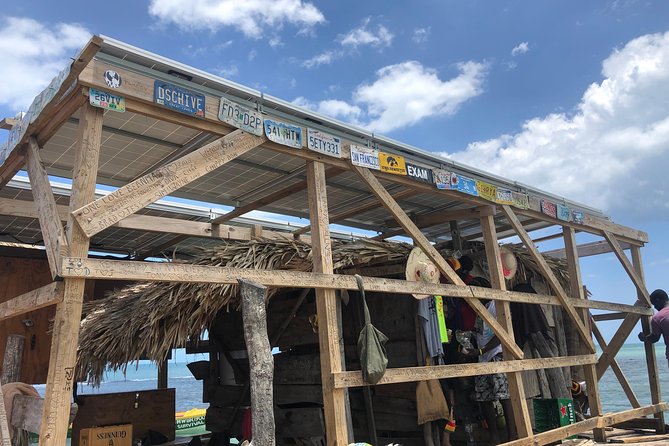 Black River Safari, YS Falls and Floyd's Pelican Bar - Who this private tour fits best
