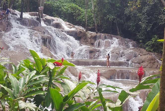 Blue Hole and Dunn's River Adventurous and hiking waterfalls from Ocho Rios - From Ocho Rios to two waterfall icons, without the headache