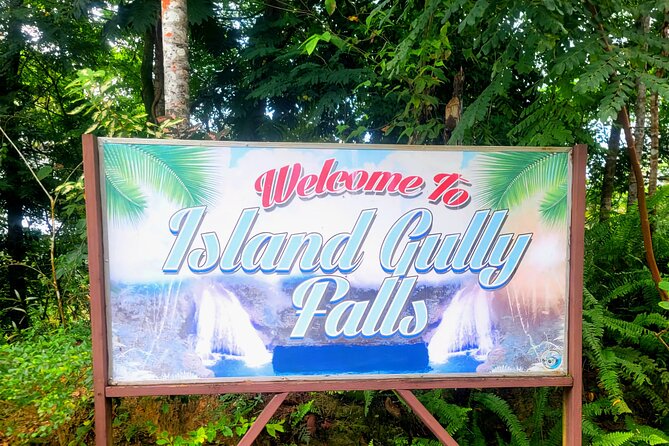 Blue Hole and Dunn's River Falls Ocho rios - Stop 1: Blue Hole Pools, Sinkholes, Rope Swings, and Water Caves