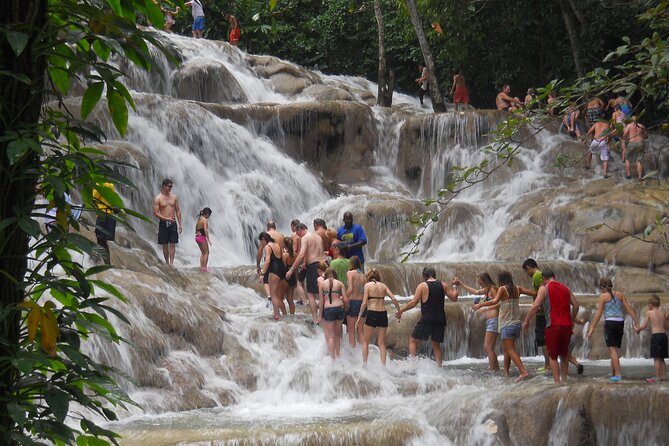 Blue Hole and Dunn’s River Falls Tour with Lunch and Cocktails at Reggae Hill - Who this tour fits best, and who should consider a different plan