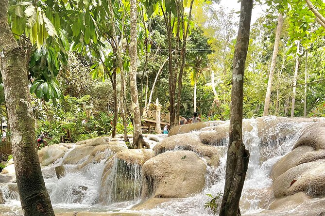 Blue Hole and Dunn's River Tour (Entrance Fees Not Included) - Drivers who make it personal, from Junior to Kandy to Juta