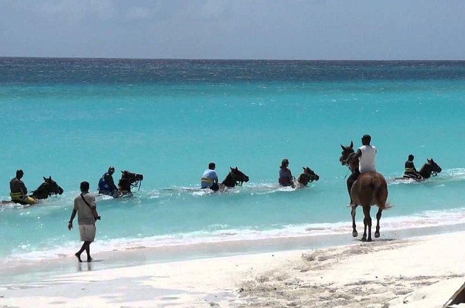 Blue Hole and Horseback Riding and Shopping - Safety and “private” feel: the real difference on a shore day