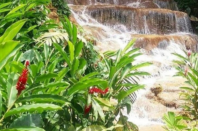 Blue Hole And Konoko Falls Combo Tour From Ocho Rios & Runaway Bay! - What “Small Group” Really Means for Your Day