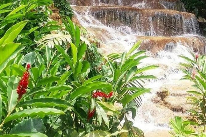 Blue Hole And Konoko Falls Combo Tour From Ocho Rios & Runaway Bay! - Who Should Book This Tour, and Who Might Want a Different Day