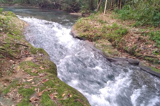 Blue Hole and River Tubing Combo from Ocho Rios - The Guide Factor: Narration, Entertainment, and Real People Skills