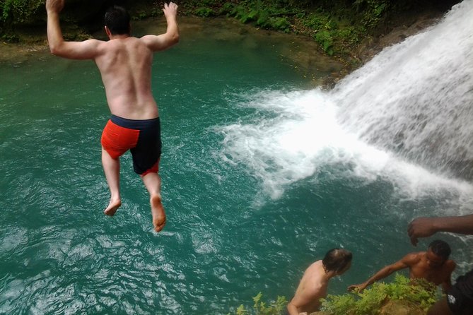 Blue Hole, Dunn's River Falls Luminous Lagoon Excursion From Montego Bay - Key Things That Make This Tour Work