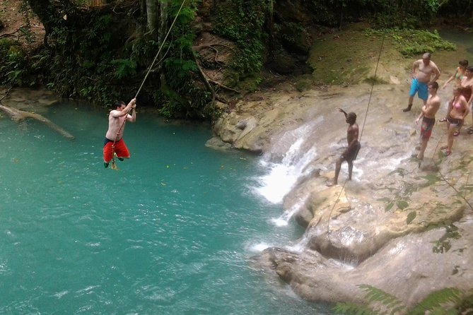 Blue Hole, Dunn's River Falls Luminous Lagoon Excursion From Montego Bay - A One-Day Route That Hits Jamaica’s Best Outdoor Spots
