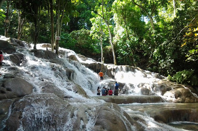 Blue Hole, Dunn's River Falls Luminous Lagoon Excursion From Montego Bay - Luminous Lagoon at Sunset: Planning for the Natural Light Show