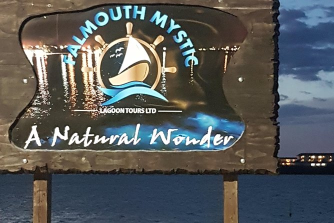 Blue Hole, Dunn's River Falls Luminous Lagoon Excursion From Montego Bay - Price and Value: What You Are Really Paying For