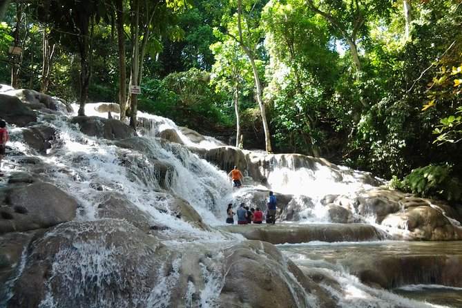 Blue Hole, Dunn's River Falls Luminous Lagoon Excursion From Montego Bay - Getting From Montego Bay to Ocho Rios: The Value of a Real Driver