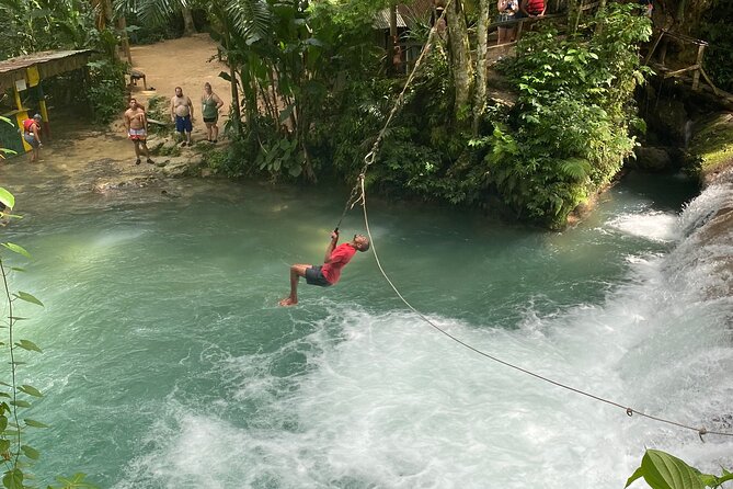 Blue Hole Falls & Ocho Rios from Montego Bay & Falmouth Jamaica - Fern Gully: The Scenic Start Before the Water