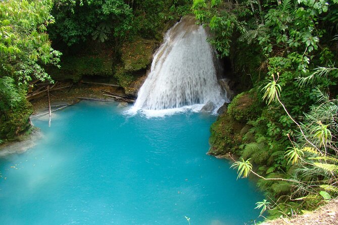 Blue Hole Falls with Horseback Ride Adventure from Montego Bay - Who this tour suits best (and who it may not)