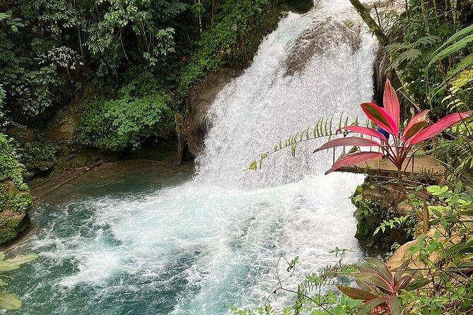 Blue Hole From Ocho Rios - Cliff Jump Options: Heights, Lagoon Time, and Safety Help
