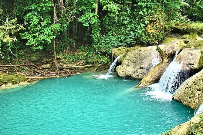 Blue Hole & Konoko Falls Park Combo Tour from Montego Bay - Scotchies Jerk Centre: The Food Break That’s Included in the Flow