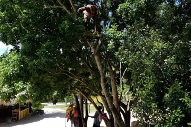 Blue Hole Mineral Spring and Ricks Cafe Private Tour - What could slow you down at Blue Hole