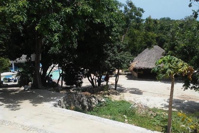 Blue Hole Mineral Spring and Ricks Cafe Private Tour - Rick’s Cafe in Negril: reggae, cliff entertainment, and a sunset rhythm