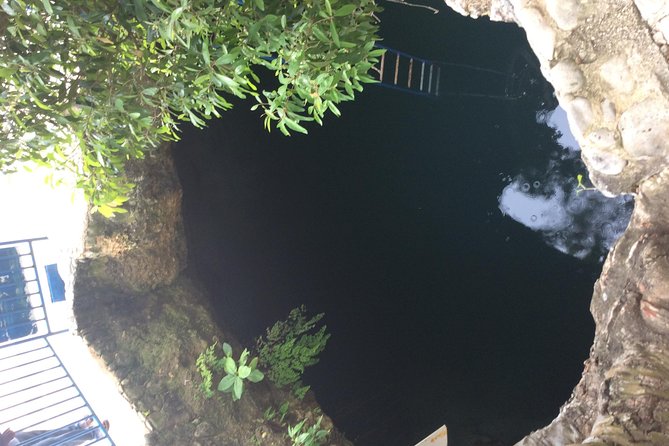 Blue Hole Mineral Springs, Rick's Café, and Shopping Combo Tour - A Negril Highlight Run That Fits Real Schedules