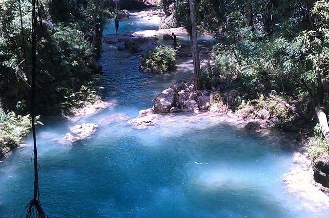 Blue Hole Private Tour from Ocho Rios - Who should book the Blue Hole private tour with Dr. fun tours