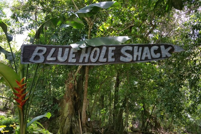 Blue Hole/Secert falls and Dunns River Combo Tour - How the Blue Hole and Dunn’s River Combo Makes a Long Day Worth It