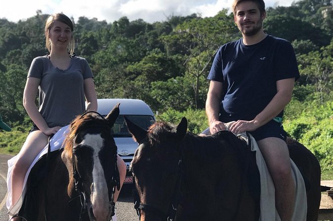 Blue hole waterfalls + horseback riding from Montego bay - Blue Hole Waterfalls: Rope Swings and Cliff Jumping in Real Water