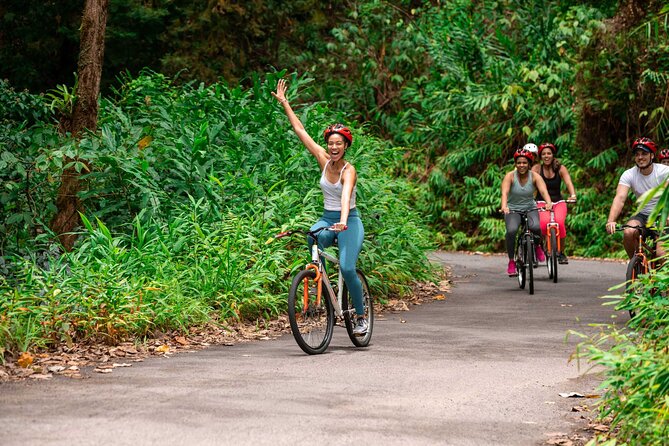 Blue Mountain Bicycle Tour - Leaving the Resort Bubble: The Blue Mountains Drive from Ocho Rios