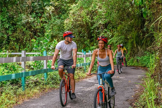 Blue Mountain Bicycle Tour - Is the $144.84 Price Fair for a Full Day?