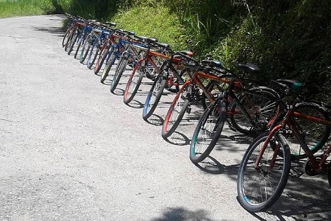 Blue Mountain Bicycle Tour from Montego Bay - Family Friendly, Moderate Fitness, and Safety Focus