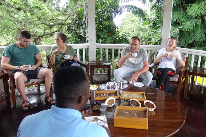 Blue Mountain Coffee and Sightseeing Tour - Price and value of $325 per person, what you really get