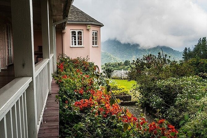 Blue Mountain Coffee, Bob Marley and Art Tour from Montego Bay - Kingston first, Blue Mountains second: how this route actually feels