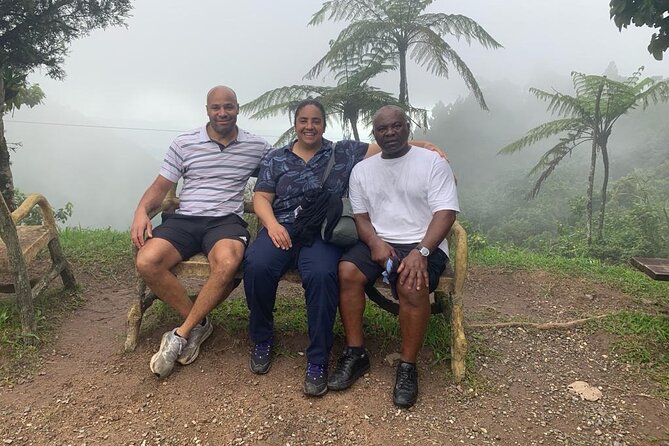 Blue Mountain Peek, and Site Seeing - Holywell Park Trails: Views, Rainforest Scent, and a Waterfall Moment