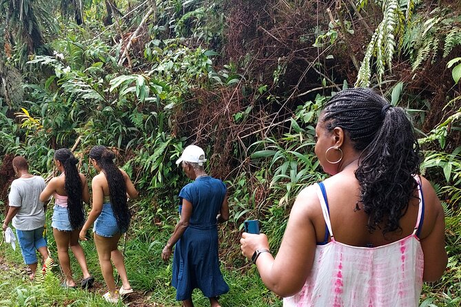 Blue Mountain Sight-Seeing & Nature Trail Hike with Private Guide - Key highlights you will actually feel on the day