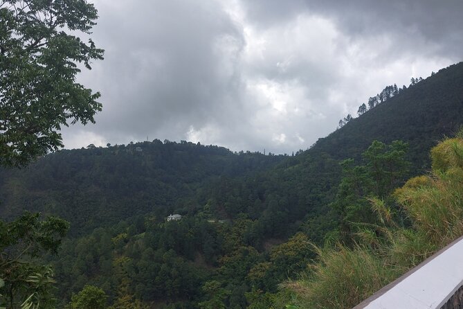 Blue Mountain Sight-Seeing & Nature Trail Hike with Private Guide - Value for $200 per person on a private guide hike