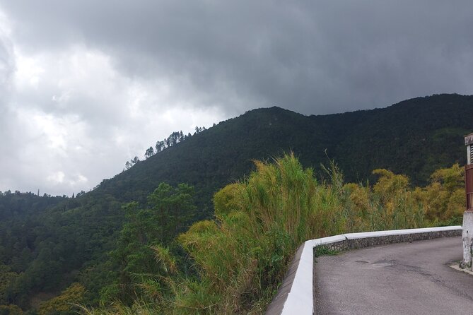 Blue Mountain Sight-Seeing & Nature Trail Hike with Private Guide - Who this tour suits best, and who might want a different style