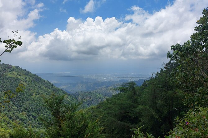 Blue Mountain Sight-Seeing & Nature Trail Hike with Private Guide - Photo stops and viewpoints: how to get the best results on the trail