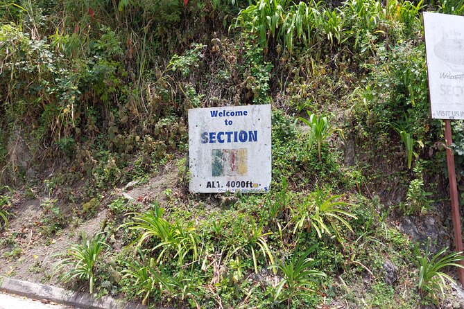 Blue Mountain Sight-Seeing & Nature Trail Hike with Private Guide - Irish Town and Newcastle stops: quick cultural stops with real context