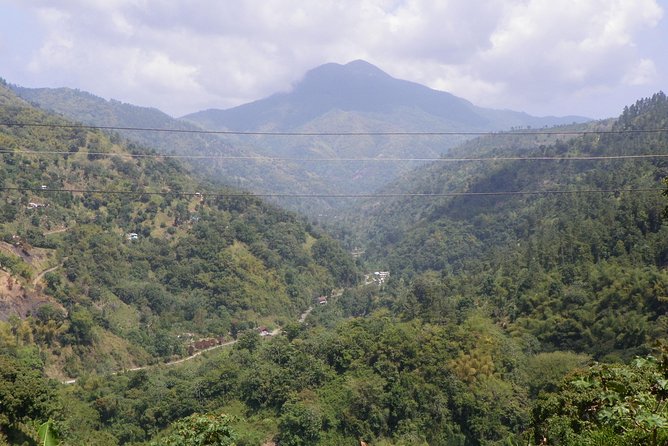 Blue Mountain Tour with Hotel Transportation - Key things I’d prioritize before you go