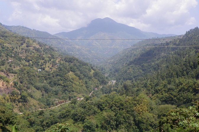 Blue Mountain Tour with Hotel Transportation - The coffee farm stop: hand roasting, tasting, and learning how Blue Mountain coffee works