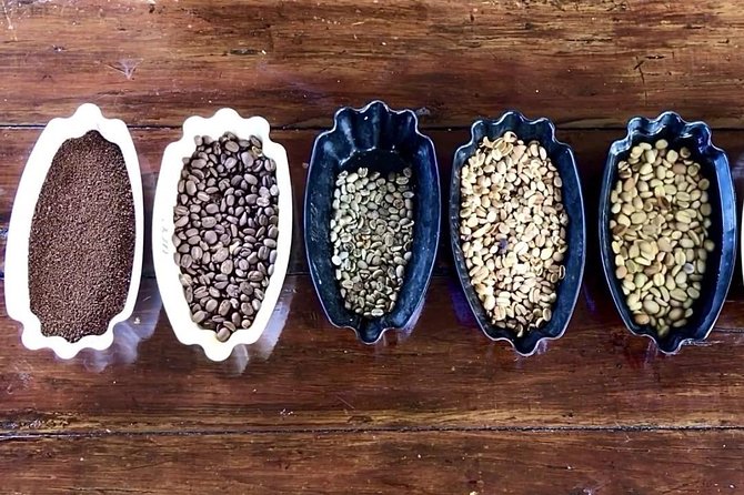 Blue Mountains Coffee Private Tour from Kingston - Key Things I’d Bookmark Before You Go