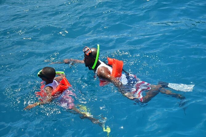 Boatride & Snorkeling then Margaritaville Hipstrip Activity - The Boatride and Snorkeling: Reef Time, Safety, and Cool Wildlife