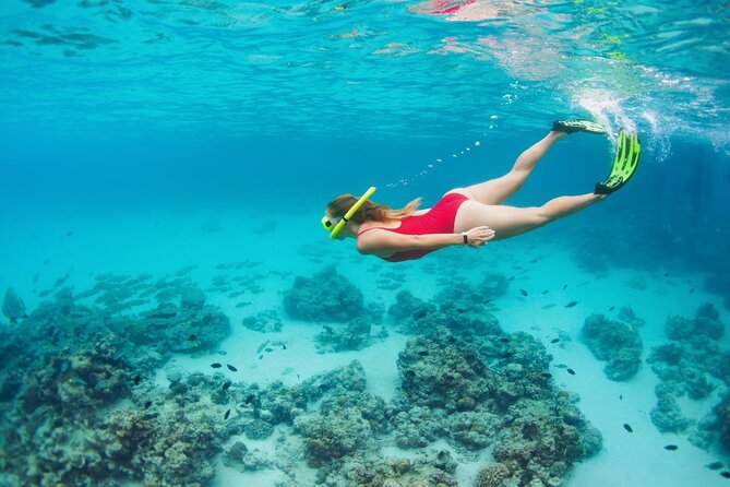 Boatride & Snorkeling then Margaritaville Hipstrip Activity - Price and Value: Is $40 Worth It for This Much Planning Help?