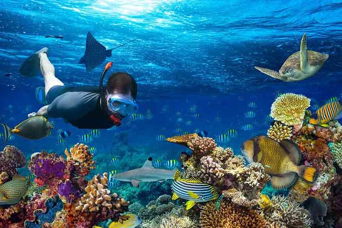 Boatride & Snorkeling then Margaritaville Hipstrip Activity - Practical Tips So Your Day Feels Relaxed (Not Rushed)